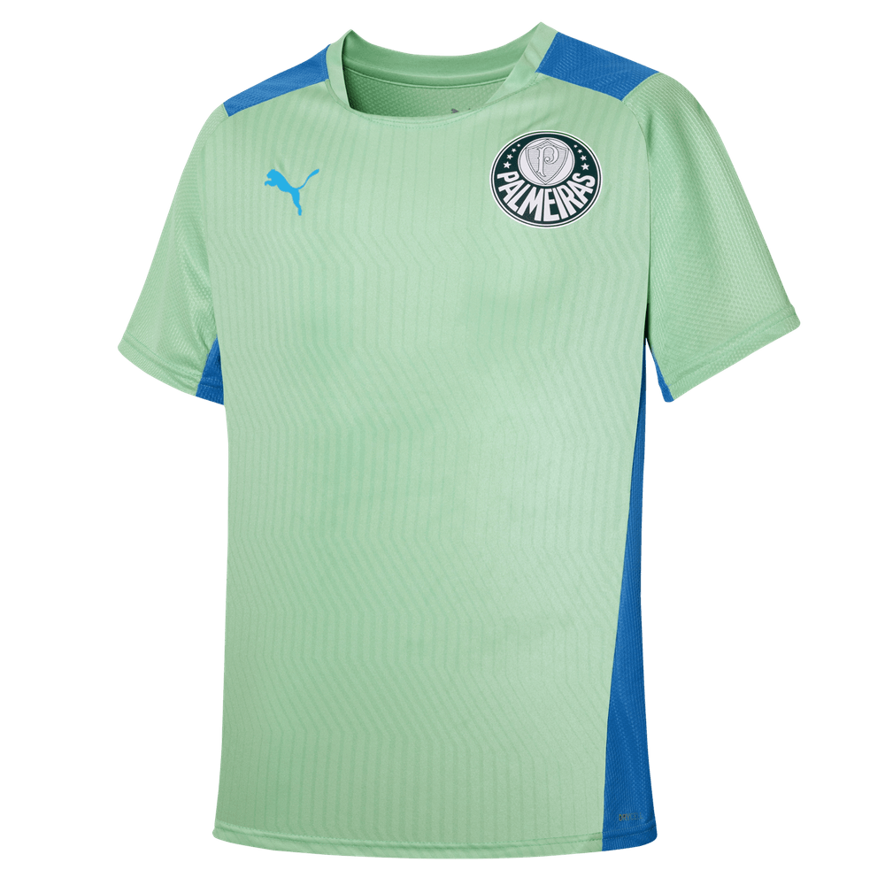 Camisa de treino do palmeiras best sale puma 2019