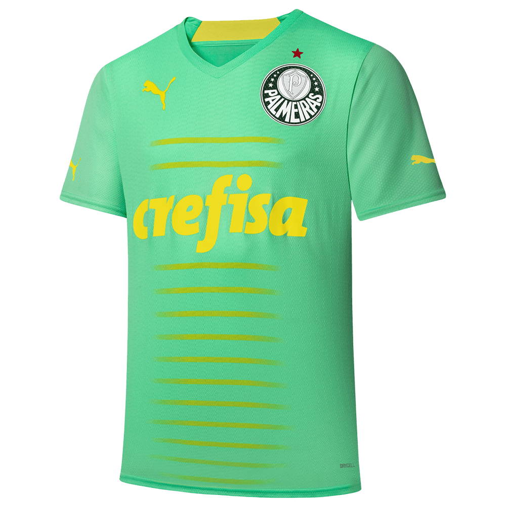 ARTE PARA CANECA PNG GRÁTIS: Palmeiras, futebol, camisa 10
