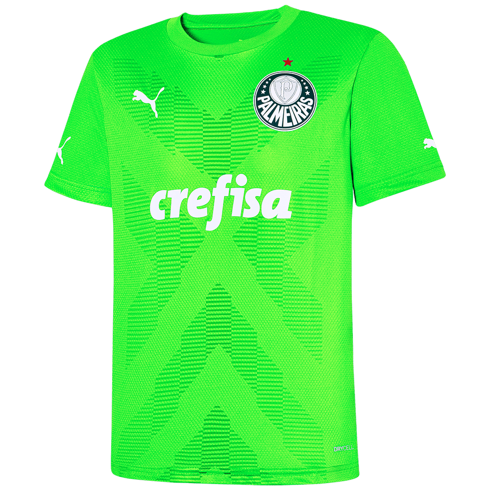 Uniforme do online goleiro do palmeiras