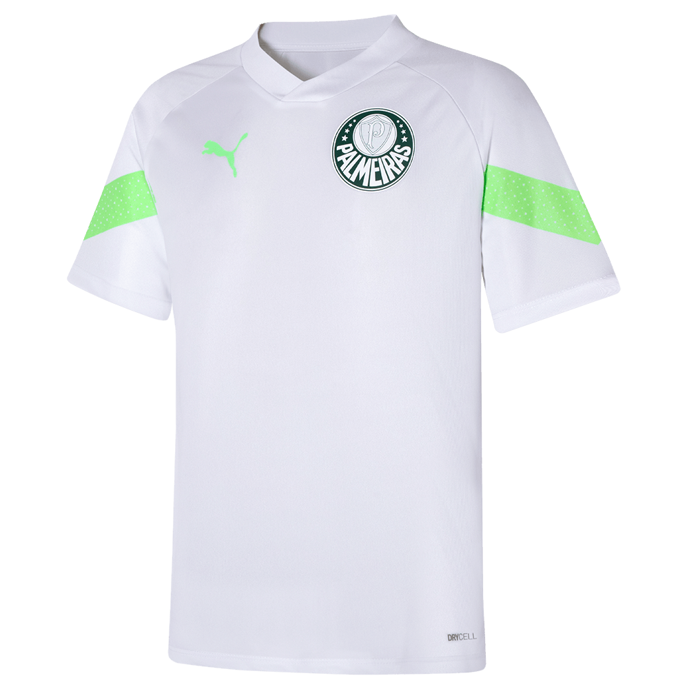 Camisa treino online palmeiras 2019