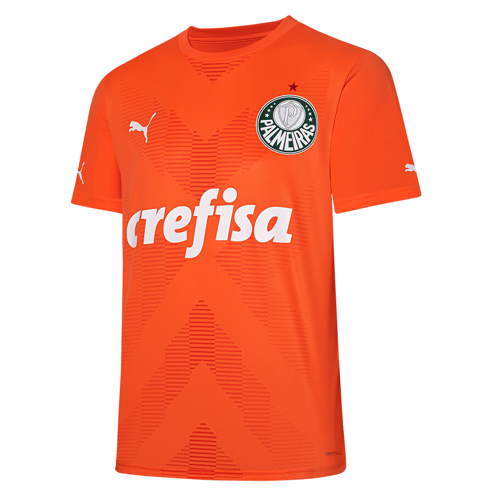ARTE PARA CANECA PNG GRÁTIS: Palmeiras, futebol, camisa 10 b