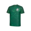 T-Shirt-Masculina-Palmeiras-Line