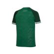 Camisa-Masculina-Palmeiras-Champion-Rsm