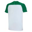 T-Shirt-Masculina-Palmeiras-Strong