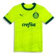 Camisa-Palmeiras-Puma-III-23-24---Infantil