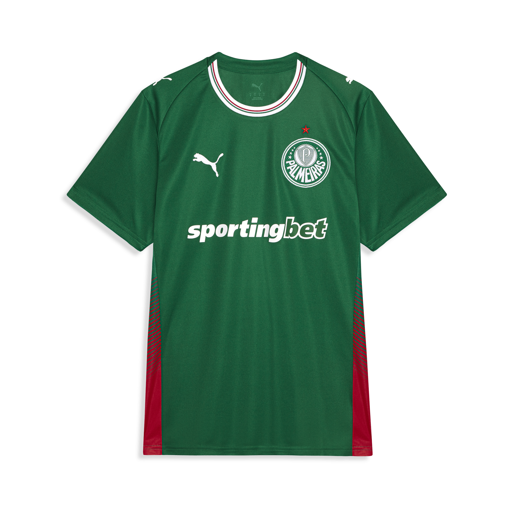Camisa Palmeiras Puma I 26/27 Torcedor