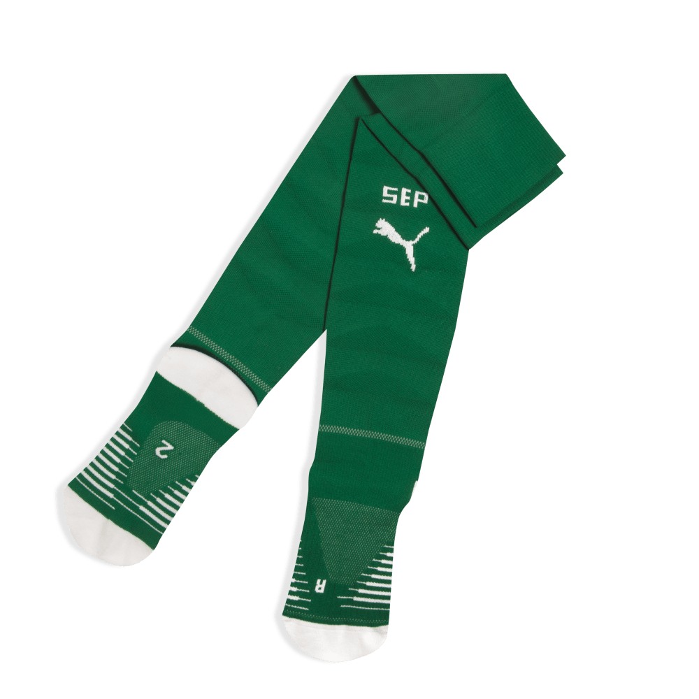 Meião Palmeiras Puma II 26/27 Infantil