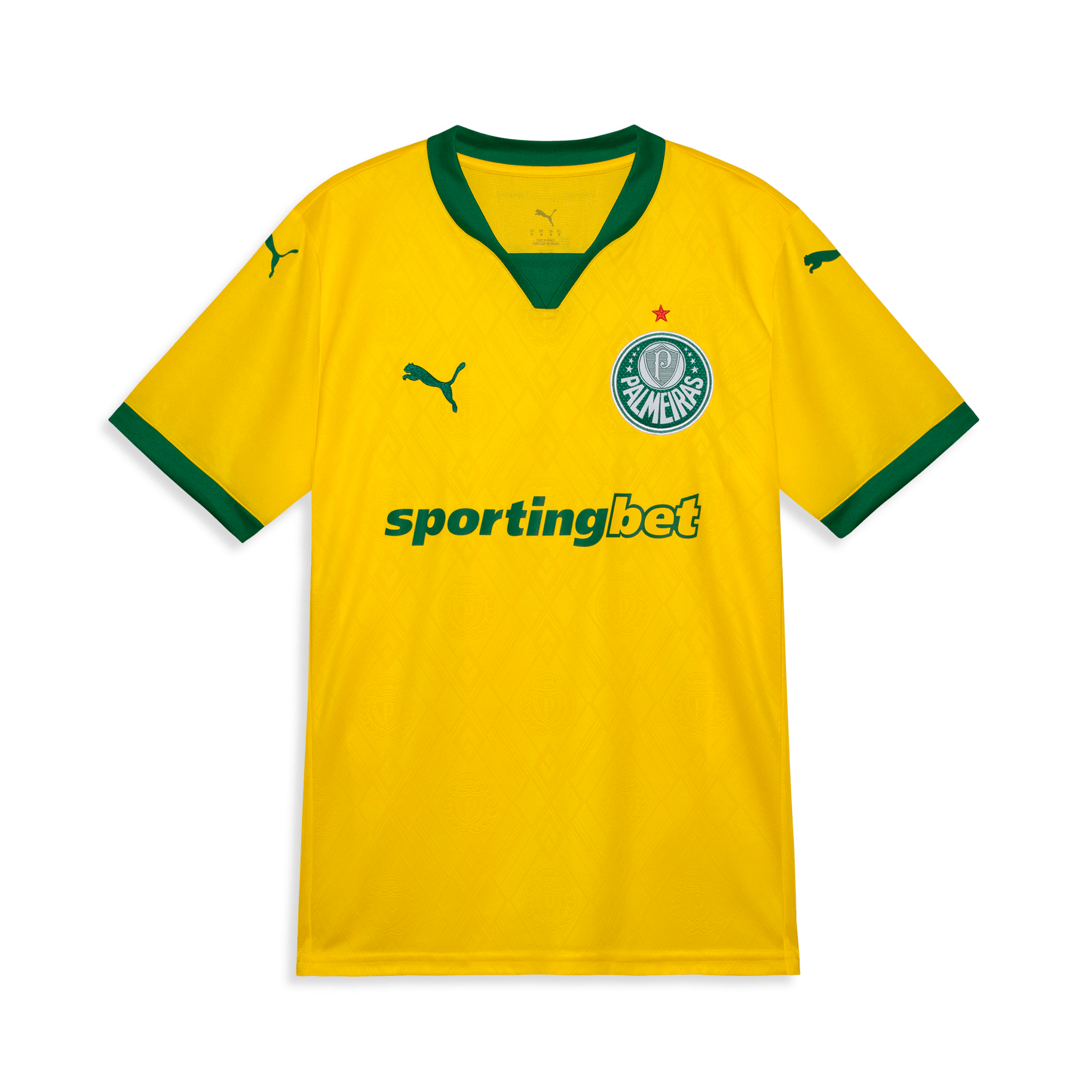Camisa Palmeiras Puma III 25/26 Torcedor